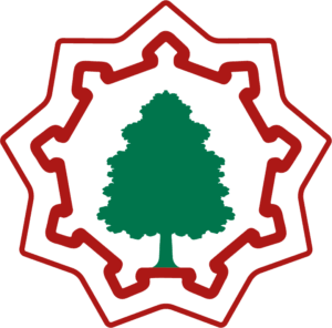 Logo PSG servizi e salute